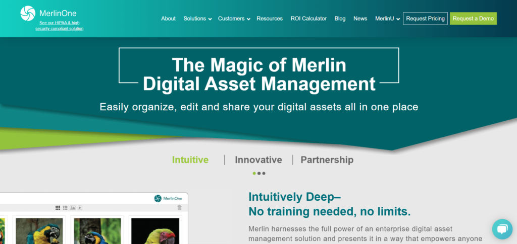 merlin one homepage image
