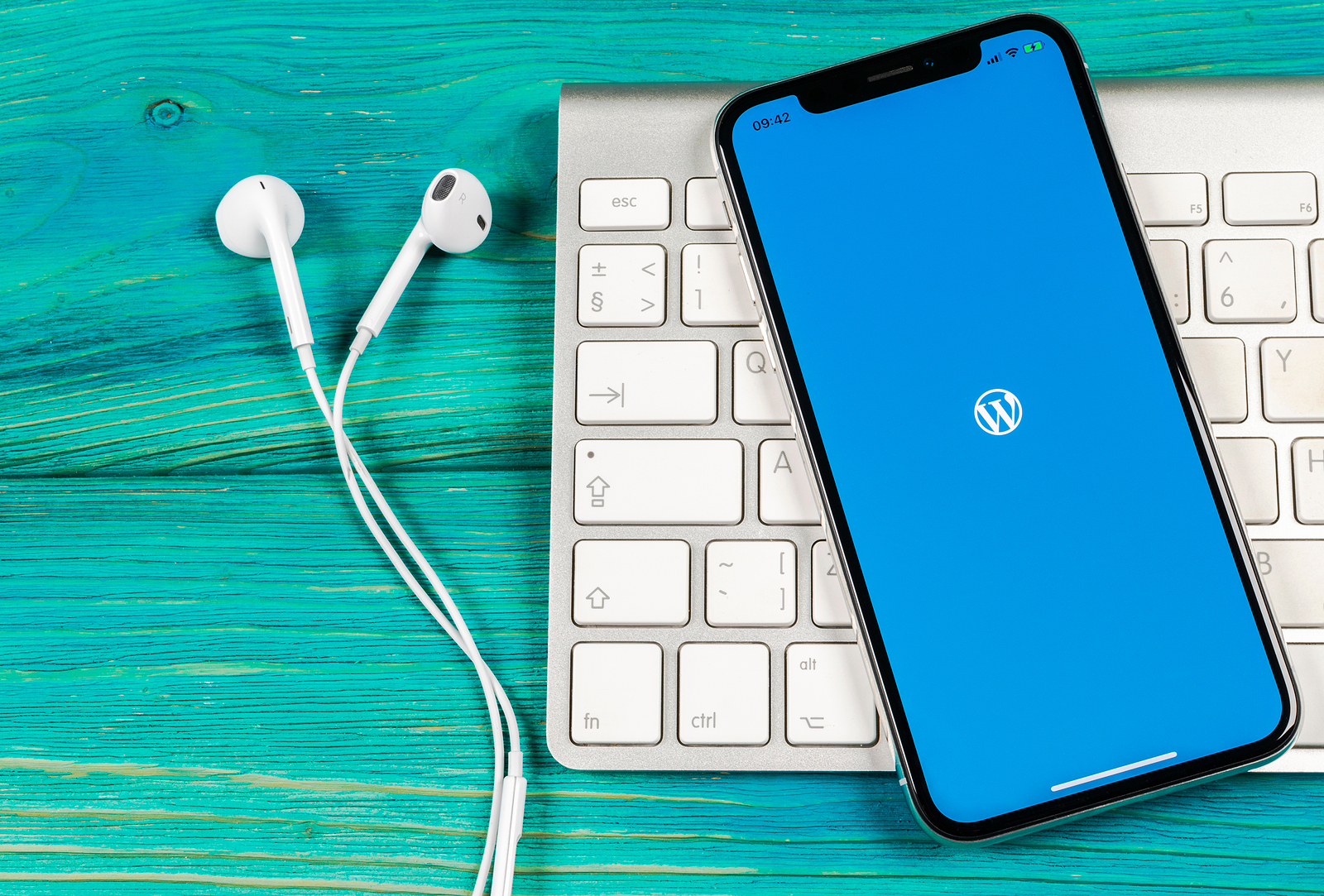 WordPress